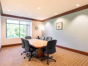 1 Person Virtual Office