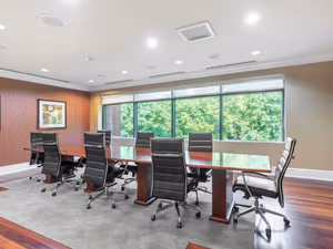 1 Person Virtual Office