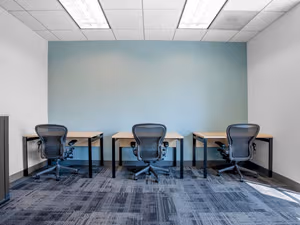 1 Person Virtual Office