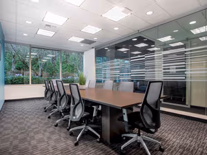 1 Person Virtual Office