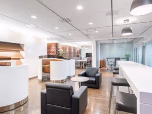 1 Person Virtual Office