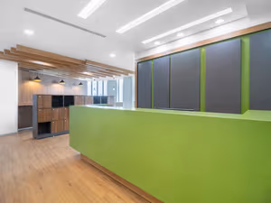 1 Person Virtual Office