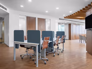 1 Person Virtual Office