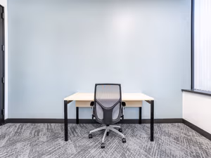 1 Person Virtual Office