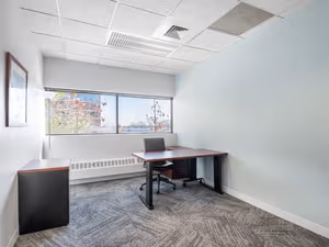 1 Person Virtual Office