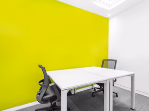 1 Person Virtual Office