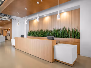 1 Person Virtual Office