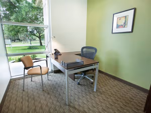 1 Person Virtual Office