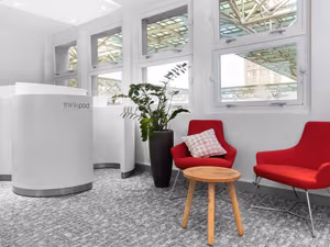 1 Person Virtual Office