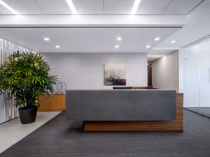 1 Person Virtual Office