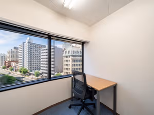 1 Person Virtual Office