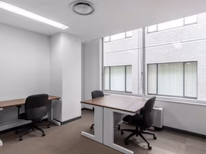 1 Person Virtual Office