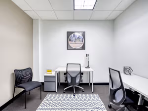 1 Person Virtual Office