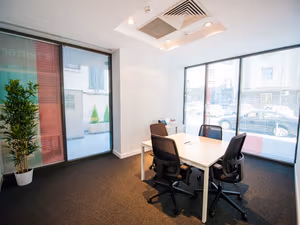 1 Person Virtual Office