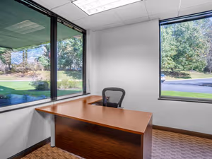 1 Person Virtual Office