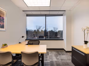 1 Person Virtual Office