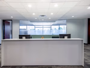 1 Person Virtual Office