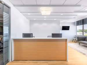 1 Person Virtual Office