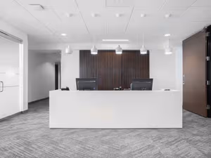 1 Person Virtual Office