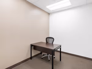 1 Person Virtual Office