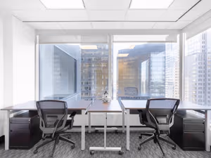 1 Person Virtual Office