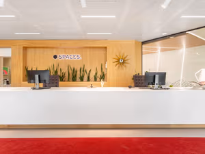 1 Person Virtual Office