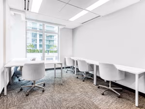 1 Person Virtual Office