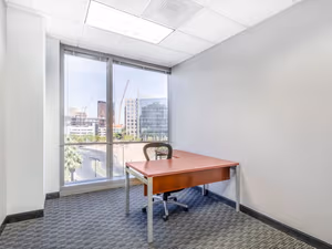 1 Person Virtual Office