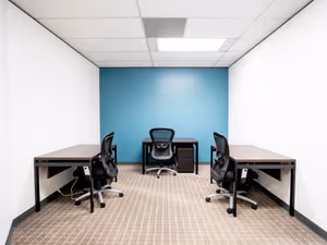 1 Person Virtual Office