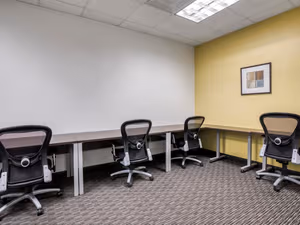 1 Person Virtual Office