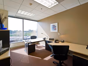 1 Person Virtual Office