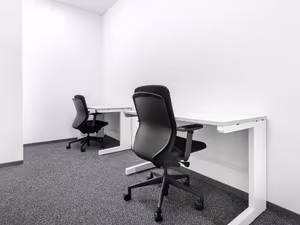 1 Person Virtual Office