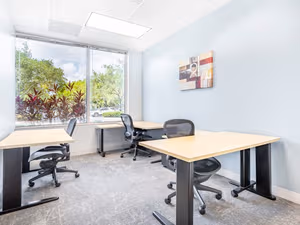 1 Person Virtual Office