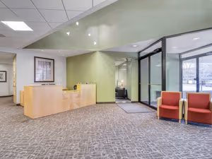 1 Person Virtual Office