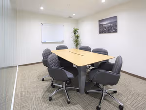 1 Person Virtual Office