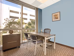 1 Person Virtual Office