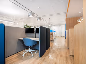 1 Person Virtual Office