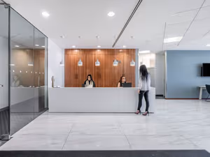 1 Person Virtual Office