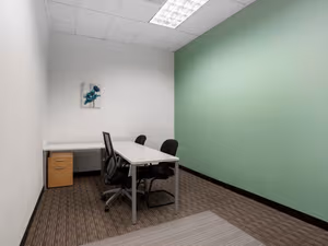 1 Person Virtual Office