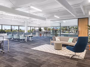 1 Person Virtual Office