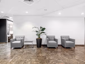 1 Person Virtual Office