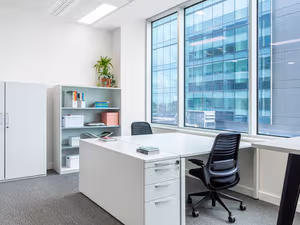 1 Person Virtual Office