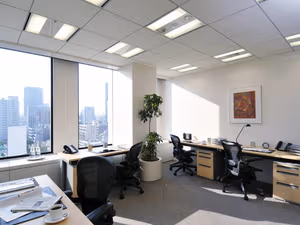 1 Person Virtual Office