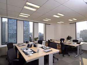 1 Person Virtual Office