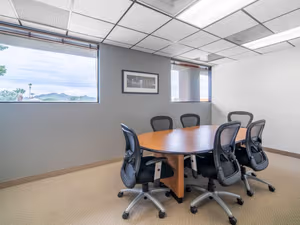 1 Person Virtual Office