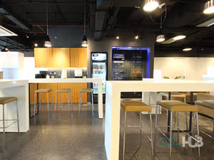 1 Person Virtual Office