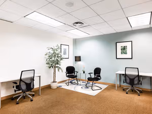 1 Person Virtual Office