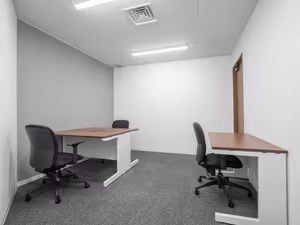 1 Person Virtual Office