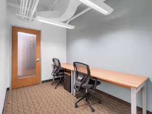 1 Person Virtual Office