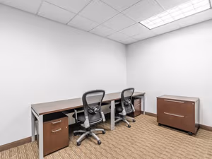 1 Person Virtual Office